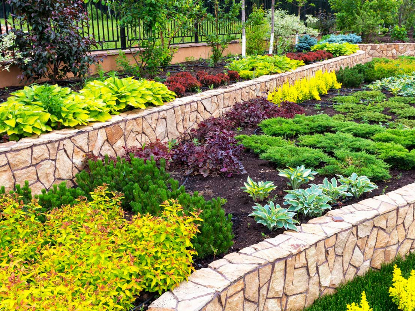 About Our Landscape Maintenance Company in Rumson, Hazlet & Middletown